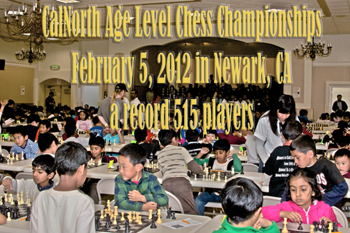 Age Level Banner